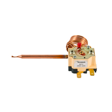 High Quality Hot Immersion Water Heater Capillary Thermostat 